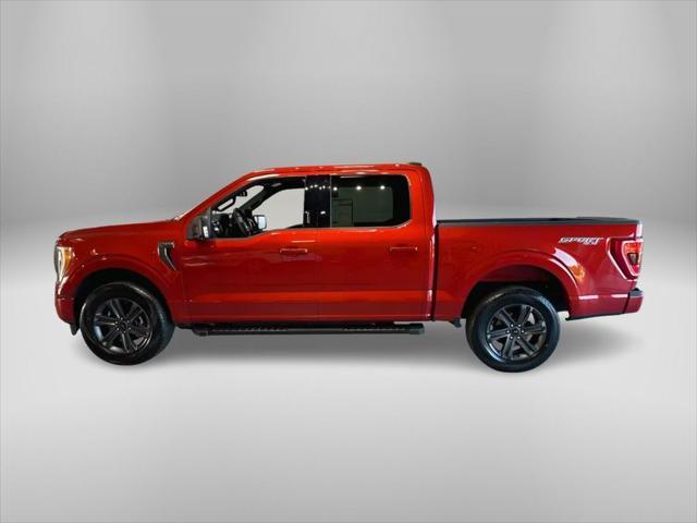 used 2023 Ford F-150 car, priced at $48,617