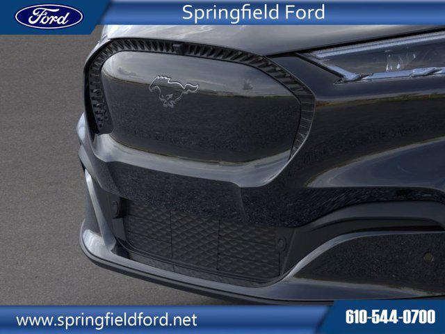 new 2024 Ford Mustang Mach-E car, priced at $37,385