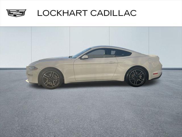 used 2019 Ford Mustang car, priced at $21,000