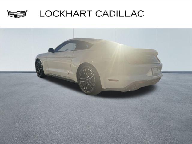 used 2019 Ford Mustang car, priced at $21,000