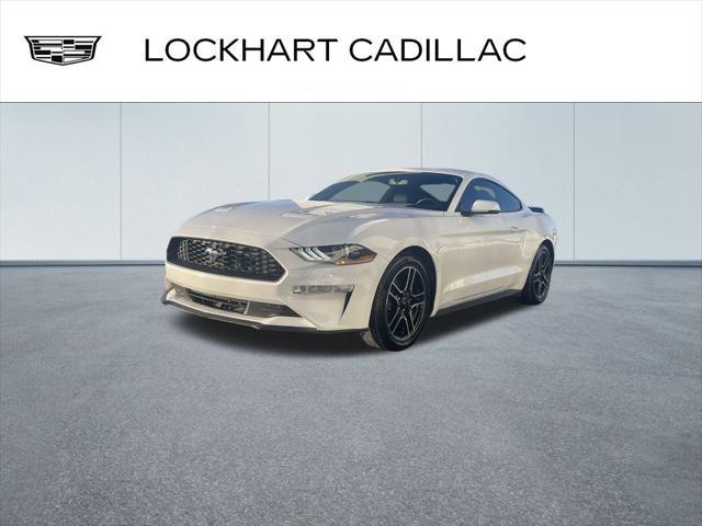 used 2019 Ford Mustang car, priced at $21,000