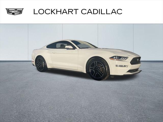 used 2019 Ford Mustang car, priced at $21,000