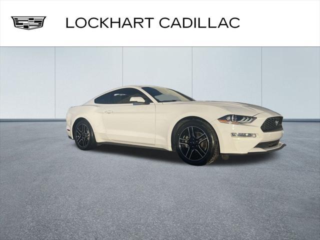 used 2019 Ford Mustang car, priced at $21,000