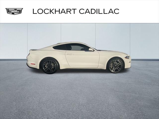 used 2019 Ford Mustang car, priced at $21,000