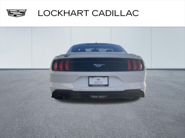 used 2019 Ford Mustang car, priced at $21,000