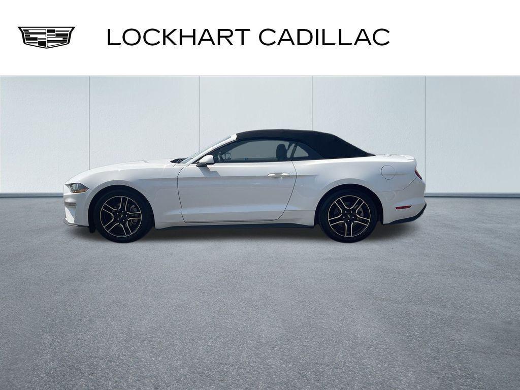 used 2023 Ford Mustang car, priced at $22,900