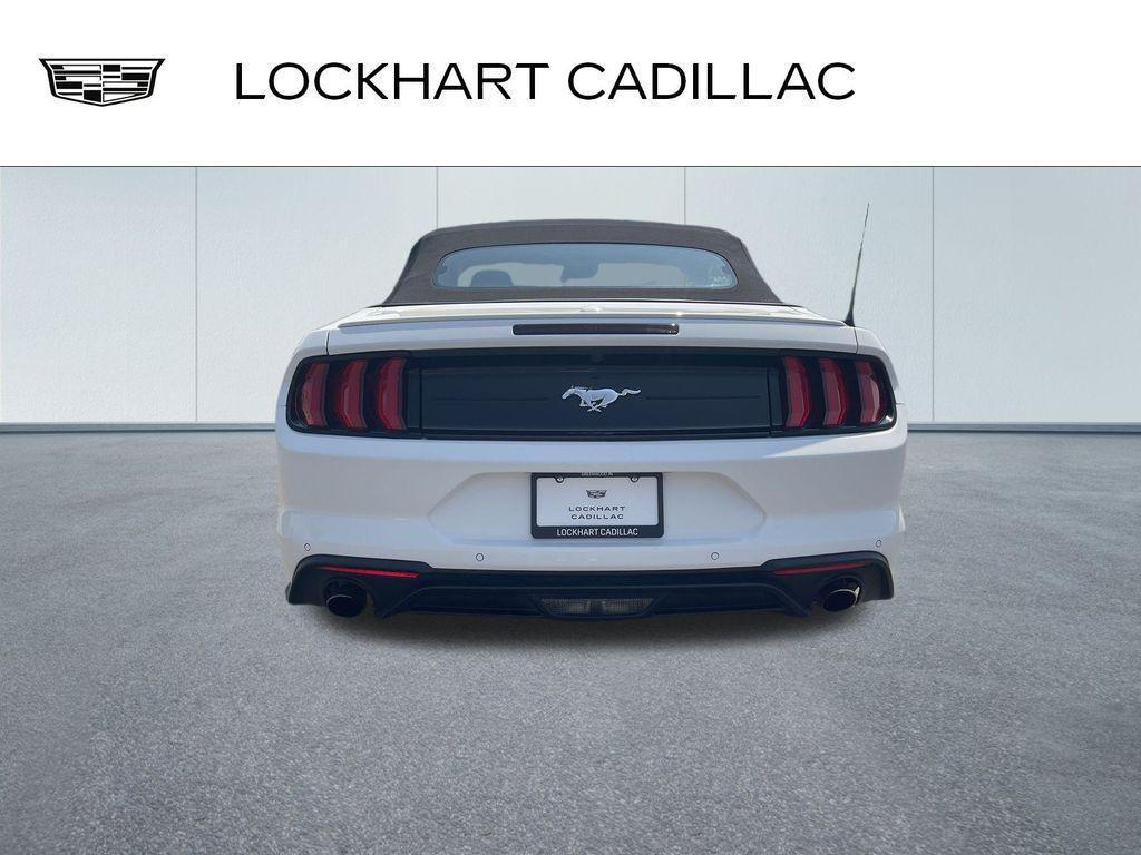 used 2023 Ford Mustang car, priced at $22,900