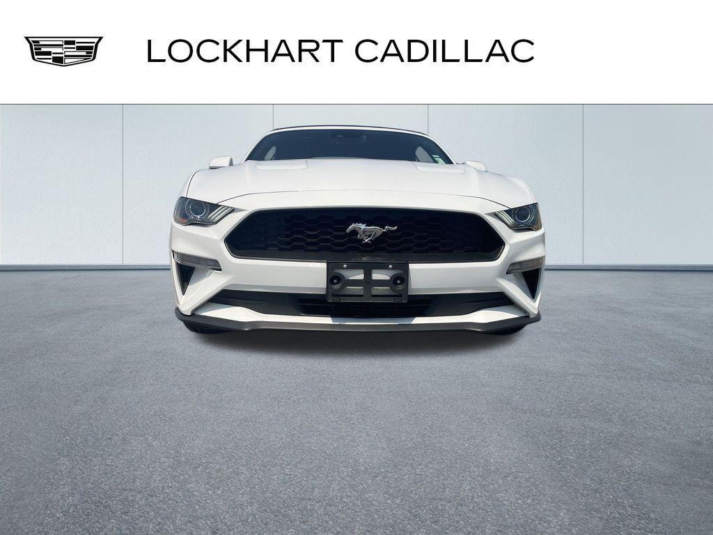 used 2023 Ford Mustang car, priced at $22,900