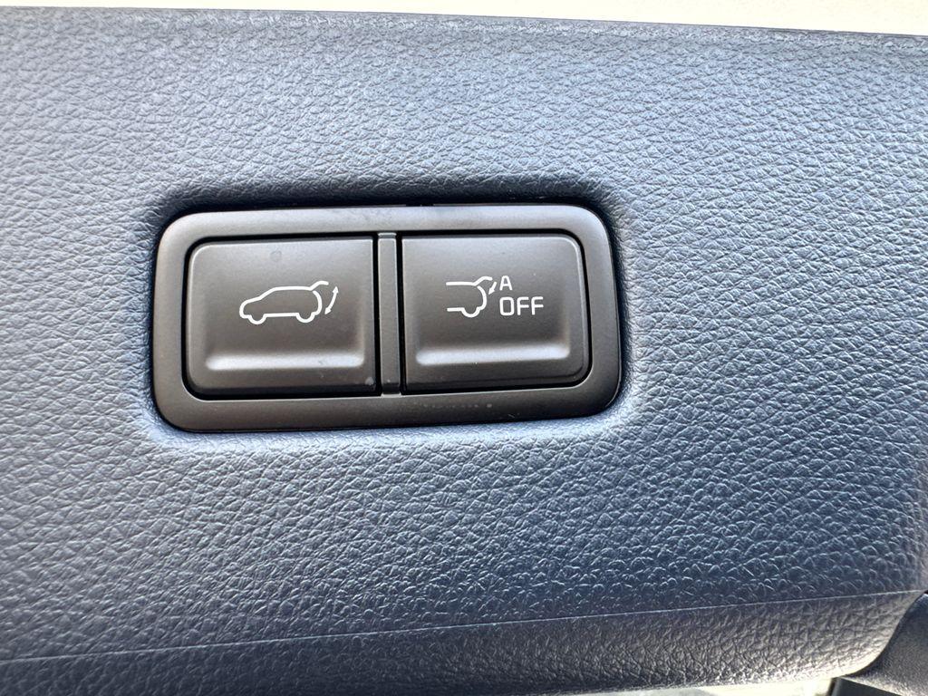 new 2026 Kia Carnival Hybrid car