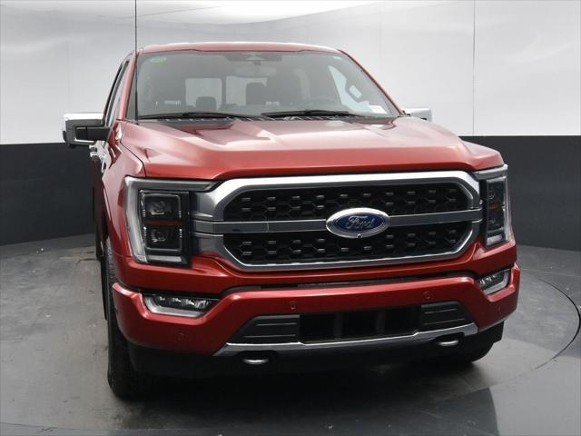 used 2023 Ford F-150 car, priced at $58,800