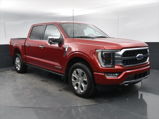 used 2023 Ford F-150 car, priced at $58,800