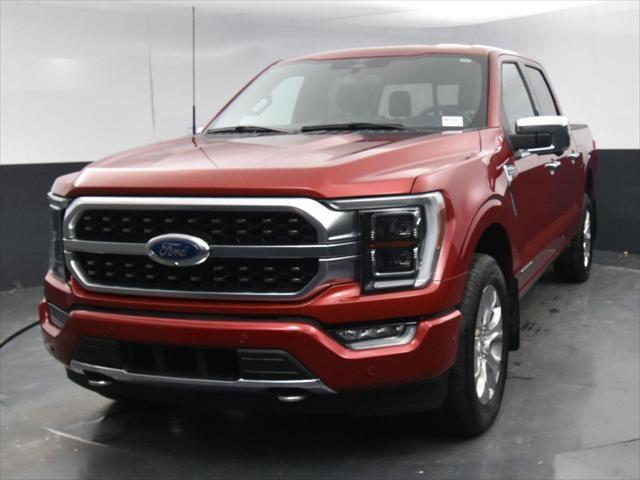 used 2023 Ford F-150 car, priced at $58,800