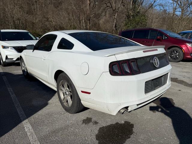 used 2014 Ford Mustang car, priced at $12,100