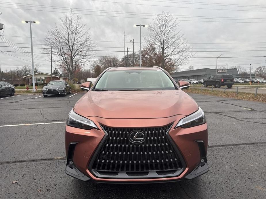 new 2025 Lexus NX 350 car, priced at $53,595