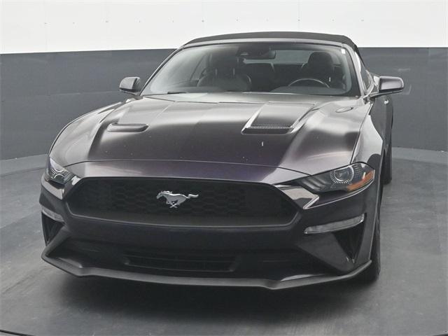 used 2023 Ford Mustang car, priced at $23,231