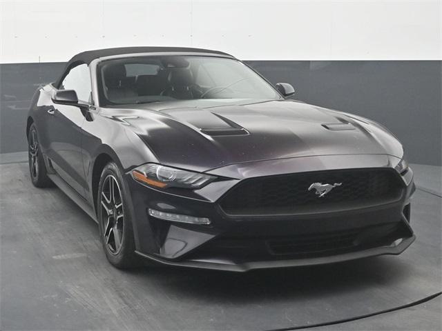 used 2023 Ford Mustang car, priced at $23,231