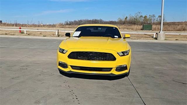 used 2016 Ford Mustang car, priced at $19,000