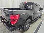 used 2023 Ford F-150 car