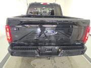 used 2023 Ford F-150 car