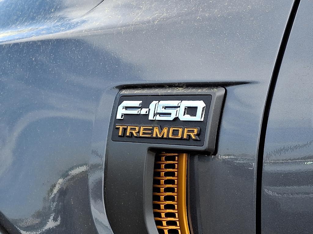 new 2025 Ford F-150 car, priced at $80,115