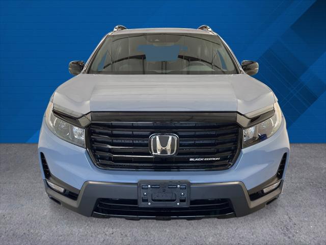 new 2025 Honda Passport car, priced at $50,320