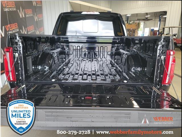new 2025 Ford F-150 car, priced at $66,995