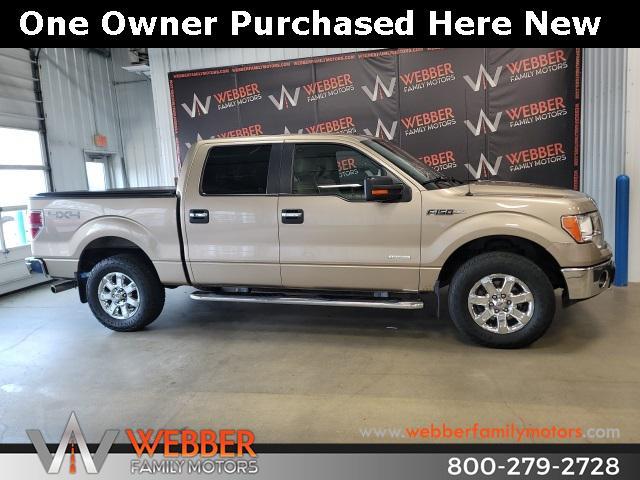 used 2014 Ford F-150 car, priced at $18,300