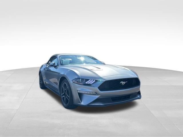 used 2022 Ford Mustang car, priced at $25,000