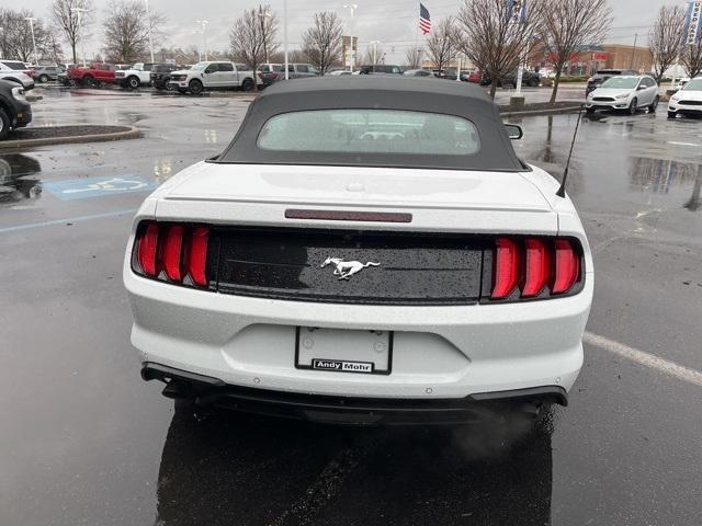 used 2022 Ford Mustang car, priced at $23,974