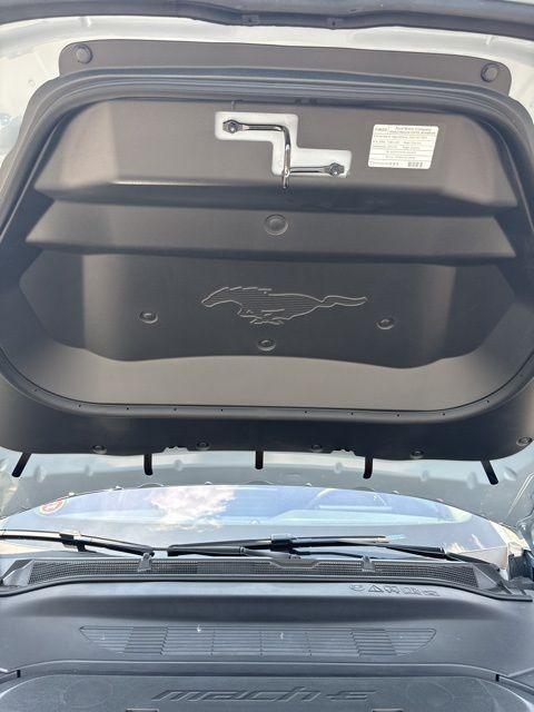 new 2025 Ford Mustang Mach-E car, priced at $54,316