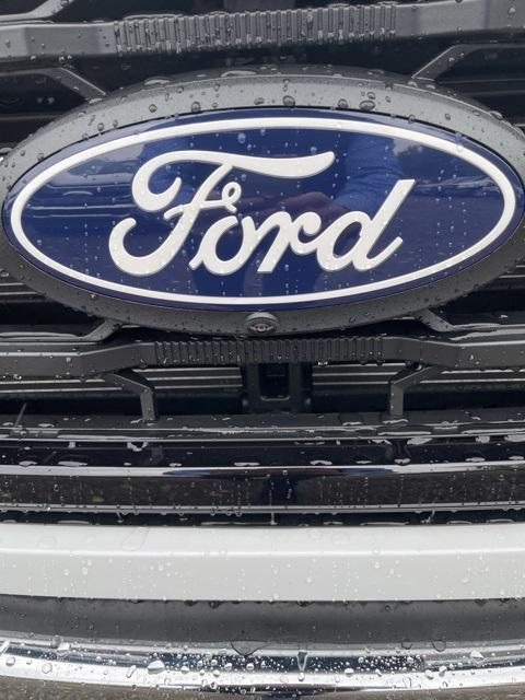 new 2024 Ford F-150 car, priced at $56,040