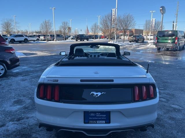 used 2017 Ford Mustang car, priced at $25,000