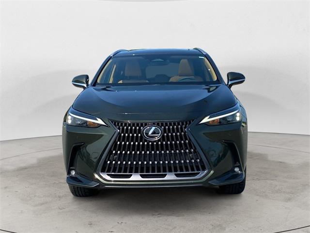 new 2025 Lexus NX 350 car, priced at $46,954
