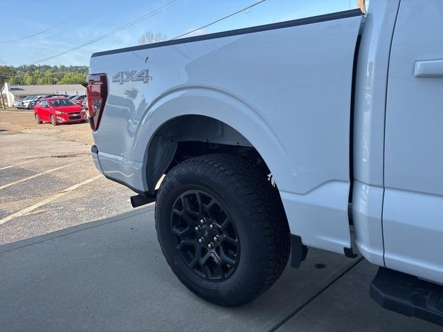 new 2025 Ford F-150 car, priced at $49,667