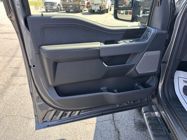new 2025 Ford F-150 car