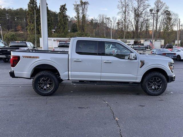 new 2024 Ford F-150 car