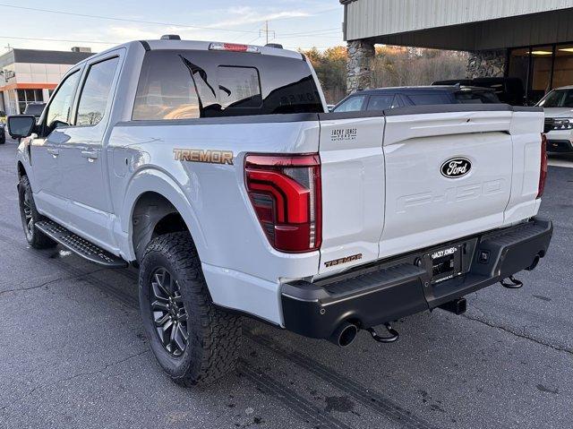 new 2024 Ford F-150 car