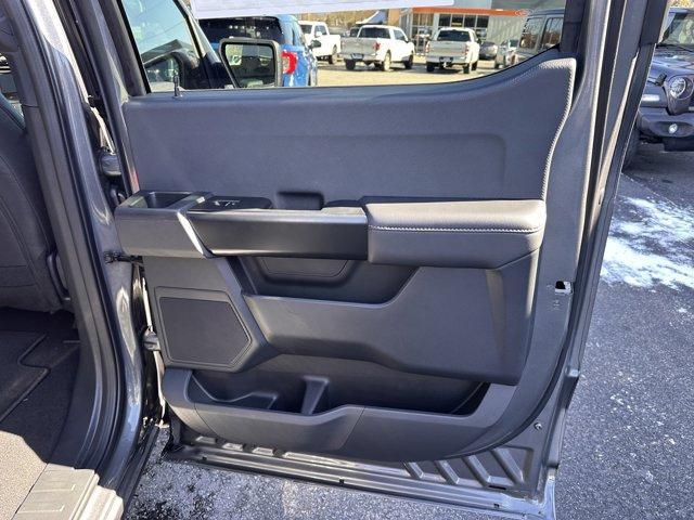 new 2025 Ford F-150 car