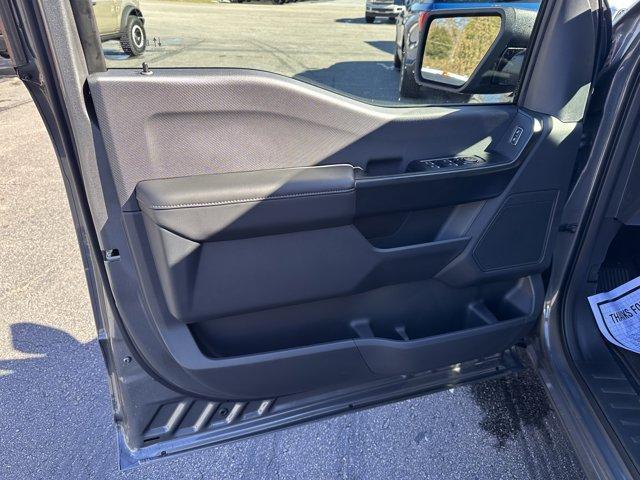 new 2025 Ford F-150 car