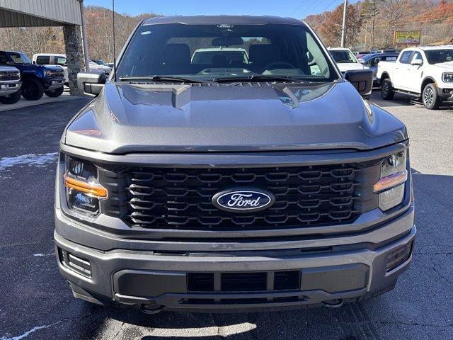 new 2025 Ford F-150 car