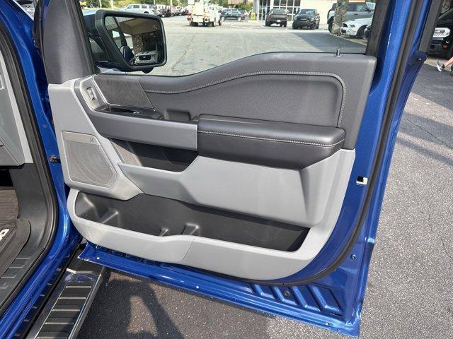 new 2025 Ford F-150 car