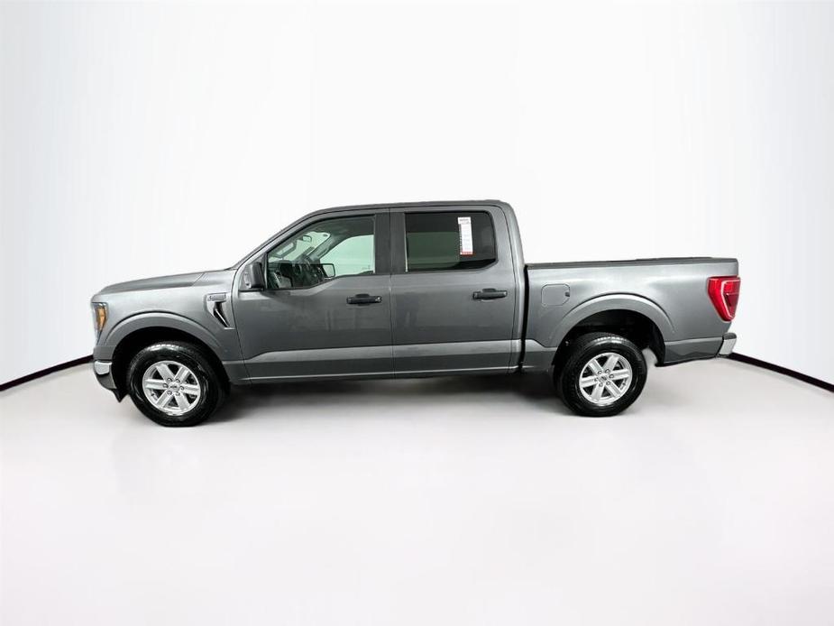 used 2023 Ford F-150 car, priced at $36,500