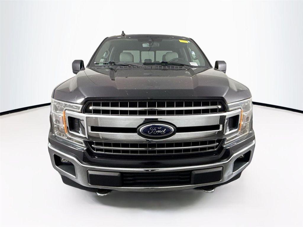 used 2019 Ford F-150 car, priced at $35,000