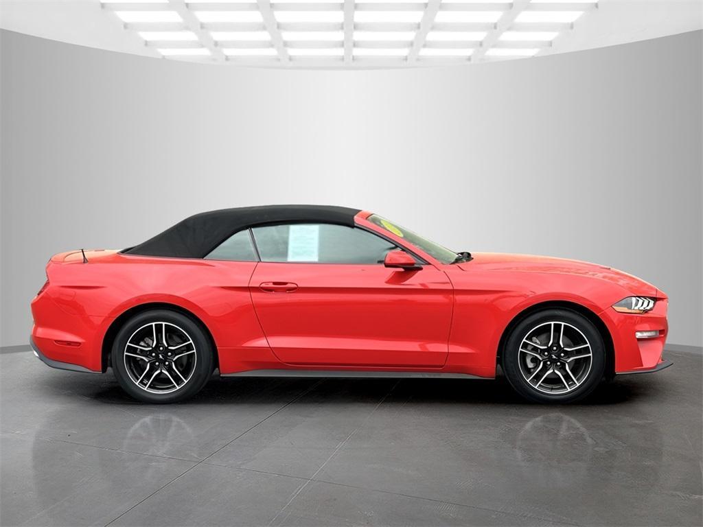 used 2022 Ford Mustang car, priced at $23,000