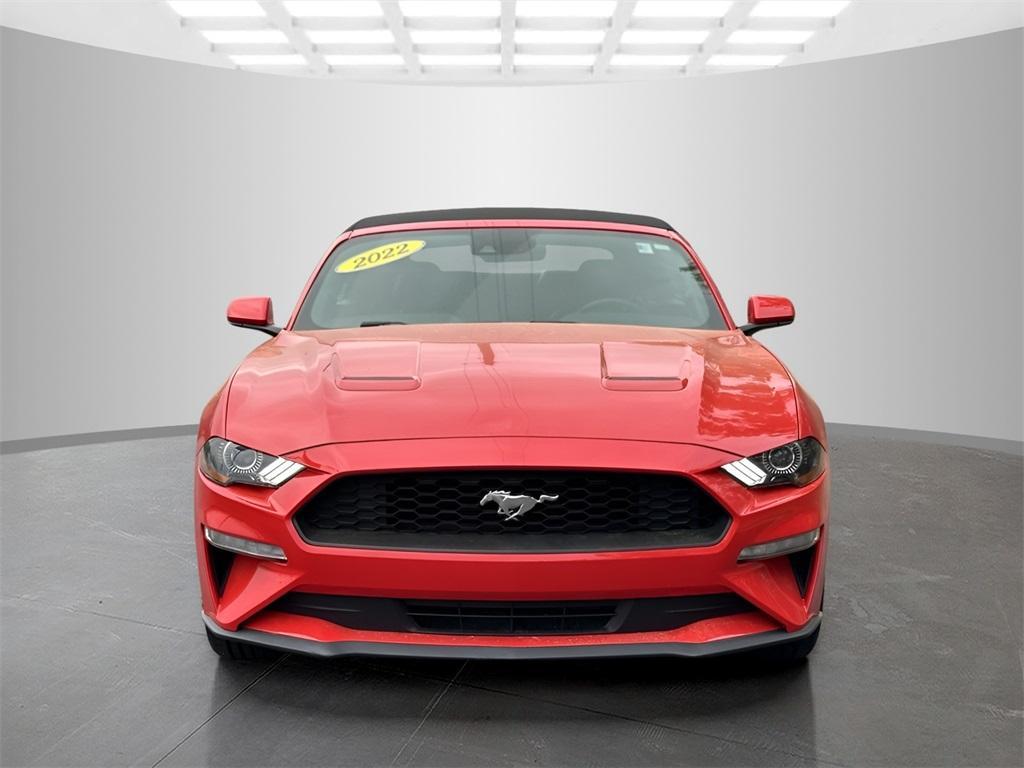 used 2022 Ford Mustang car, priced at $22,500