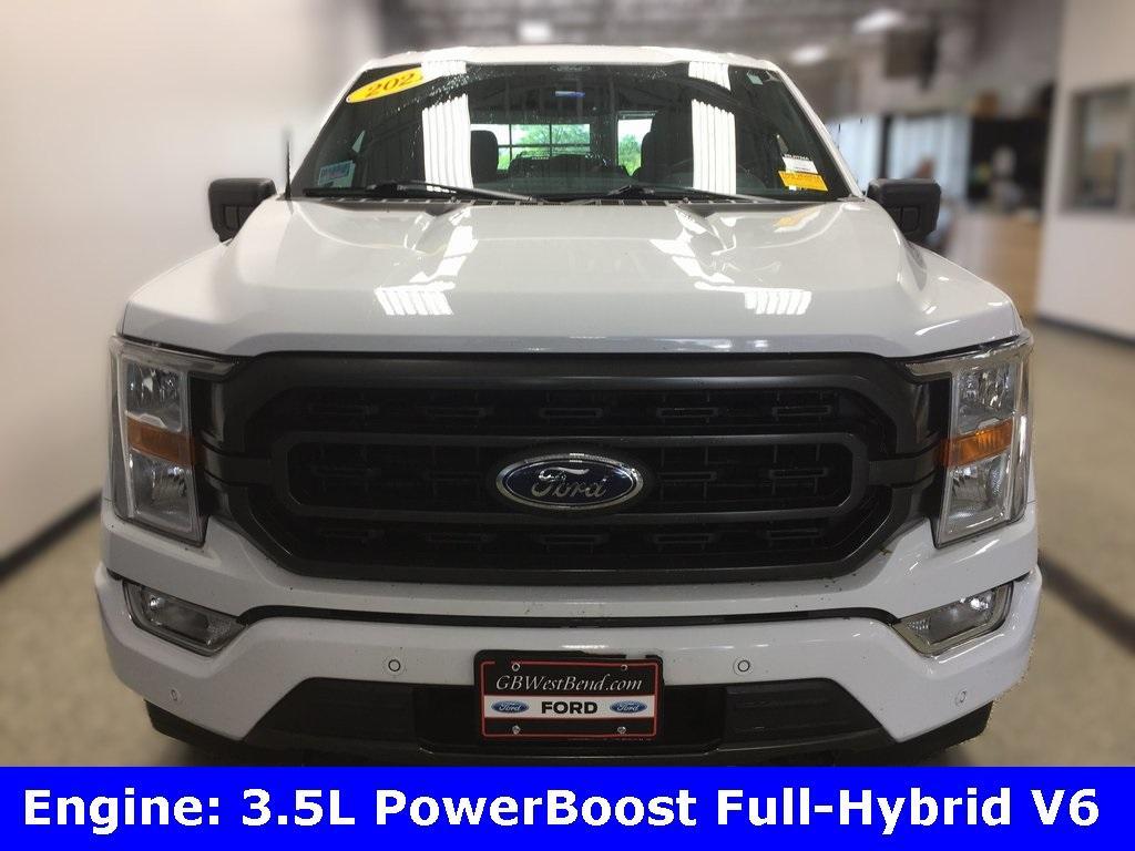 used 2021 Ford F-150 car