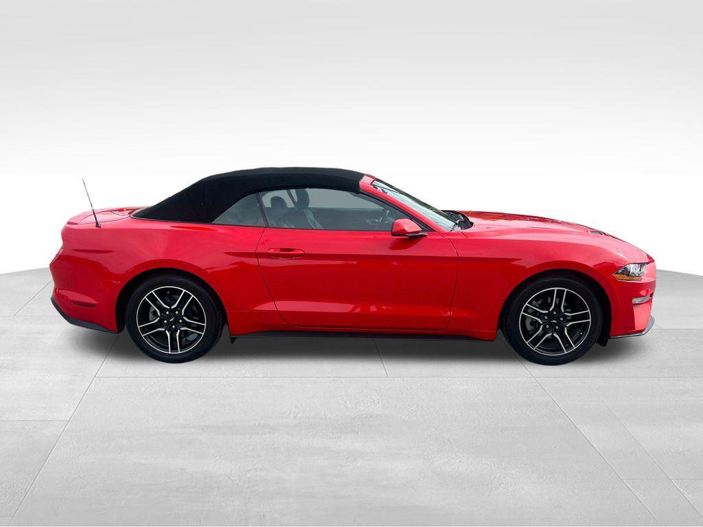 used 2022 Ford Mustang car, priced at $25,894