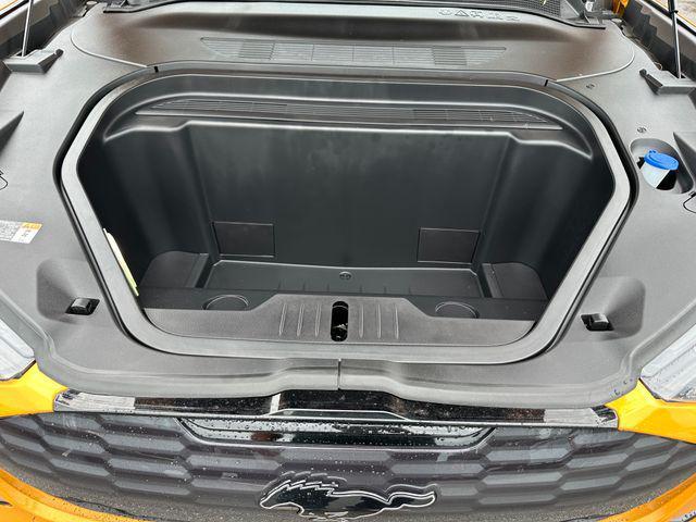 used 2021 Ford Mustang Mach-E car, priced at $30,222