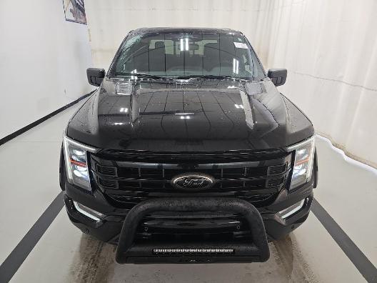 used 2023 Ford F-150 car, priced at $48,888