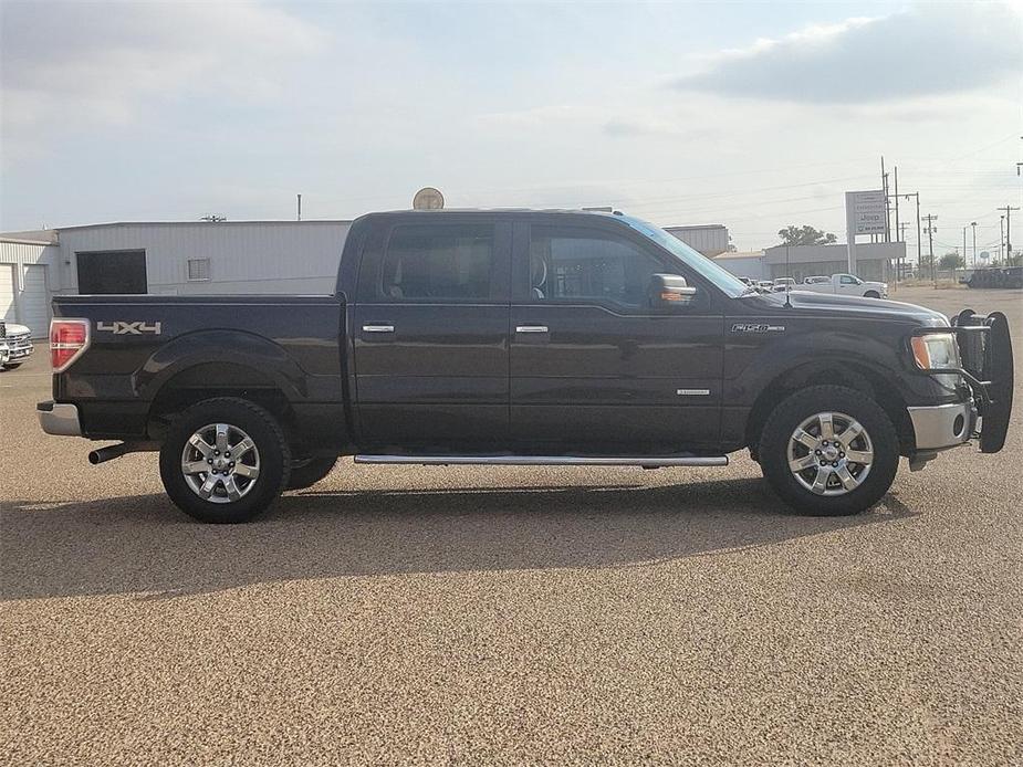 used 2014 Ford F-150 car, priced at $14,995